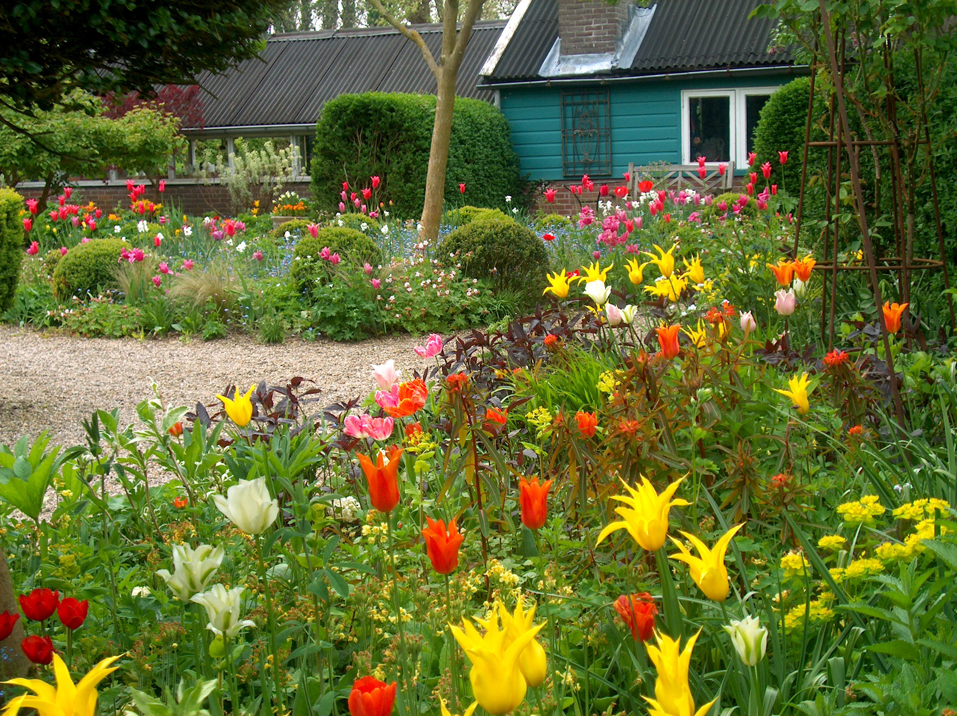 Jacqueline van der Kloet tuinontwerp en beplantingsadvies