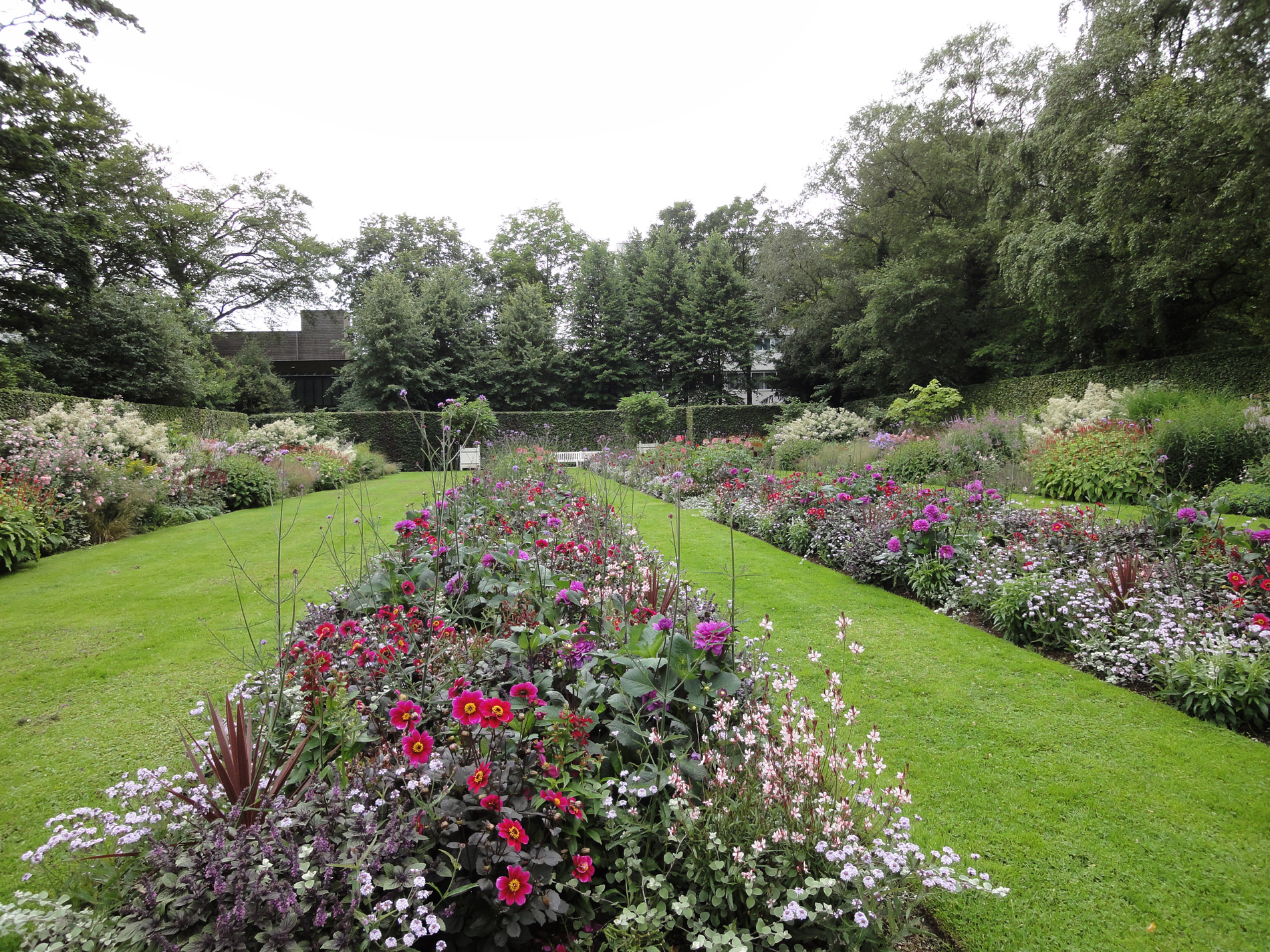 Jacqueline van der Kloet tuinontwerp en beplantingsadvies