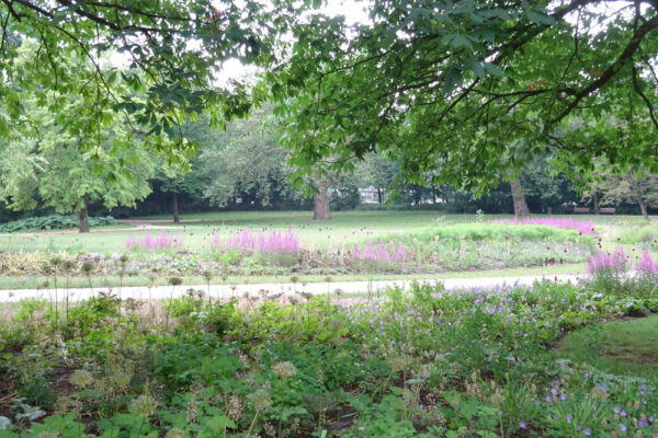 Het Park Rotterdam (2022) – Jacqueline van der Kloet | tuinontwerp en ...